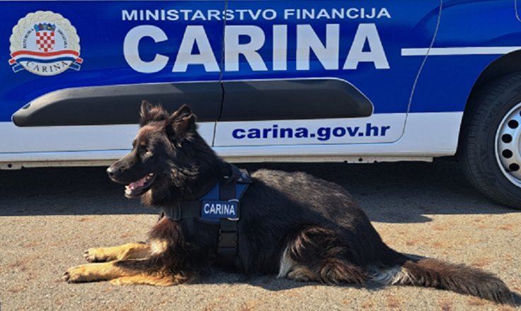 Slika /slike/Slike za objave za web/pas3.png